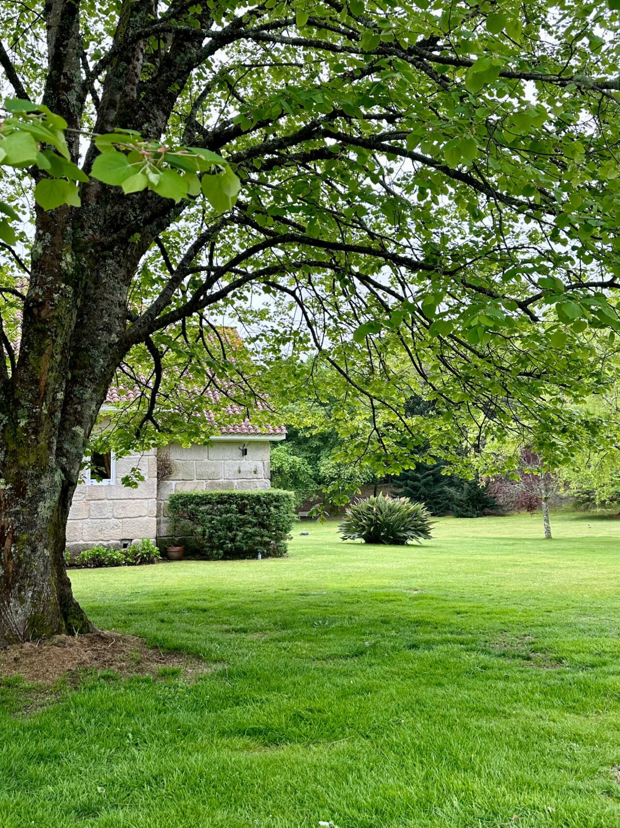 goh rhy yan sXlVouuQ unsplash